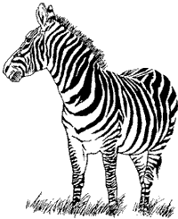 460>_675598